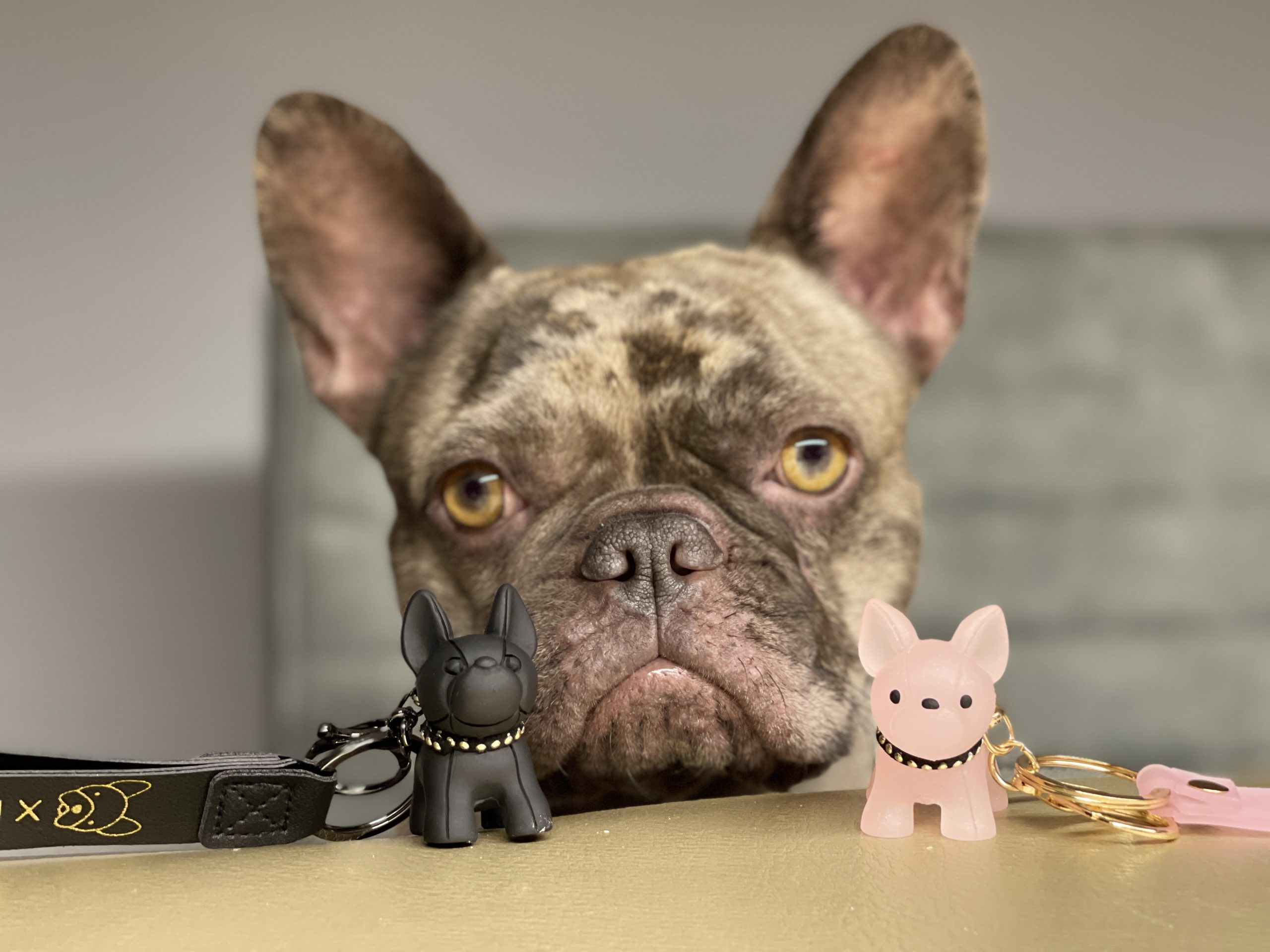 I love my French Bully - Schlüsselanhänger mit Gravur - Französische  Bulldogge